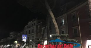 Gaeta, caduta pini: per la prima volta sulla questione interviene il sindaco (#video)
