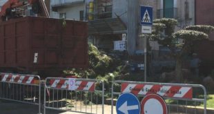 Gaeta, tagliati i pini pericolanti. Riaperto il Lungomare