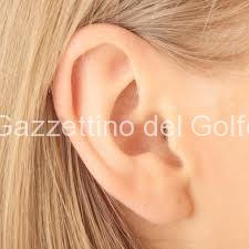 orecchio