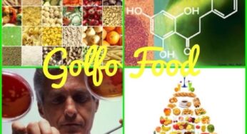 Coming soon…Golfo Food