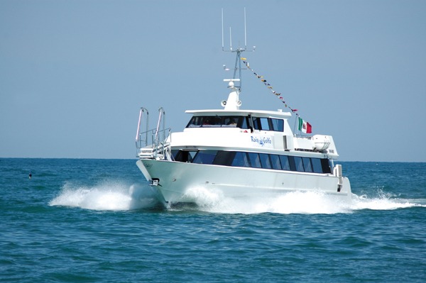 rais del golfo
