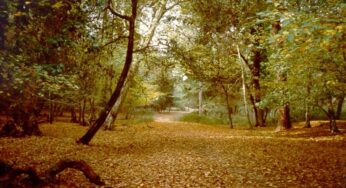 Giallo a Sermoneta, cadavere nel bosco