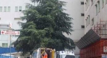 Formia, febbre altissima: bimba di 7 anni muore la notte di Natale
