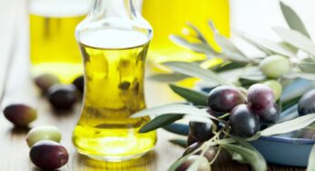 Castelforte, “Festa dell’Olio e delle Olive”