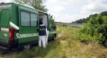 Controlli nei frantoi del Lazio: 25 sequestri