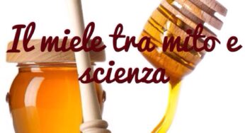 GolfoFood: Il Miele, tra mito e scienza