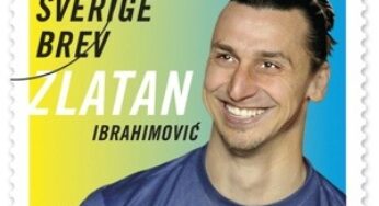 Zlatan Ibrahimovic dentellato!