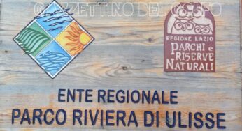 Gaeta, liberato un allocco dal personale Parco Riviera di Ulisse