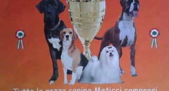 Beautiful Dog, 1º esposizione cinofila amatoriale a Itri