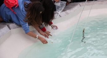 Formia – In villa comunale una domenica dedicata ai bambini