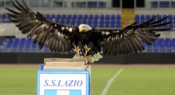 L’aquila Olimpia al XIX Memorial Paolo Di Perna