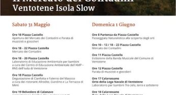 Il teatro Bertolt Brecht al Mercato dei Contadini di Ventotene