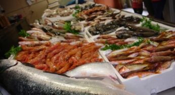 Formia, la Asl chiude una pescheria