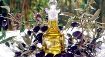 La qualità dell’olio evo d’itrana, un successo che premia il lavoro sinergico di enti, associazioni e istituzioni