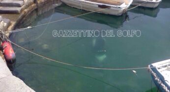 Porto di Formia, si distrae e cade in mare con lo scooter