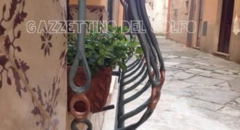 Gaeta, furto di piante in via indipendenza