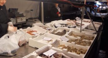 Gaeta-Mercato del pesce si sposta: l’ex Canaga la nuova location
