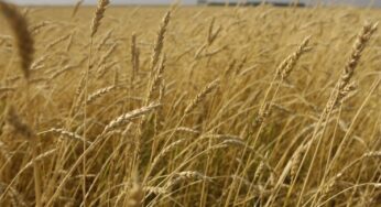 A Sperlonga incontro su sicurezza e qualità dell’agroalimentare