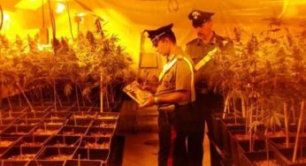 Maxi piantagione di cannabis in una villa a Itri, quattro arresti