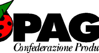 Copagri, tavolo tecnico per emergenza olearia 2014
