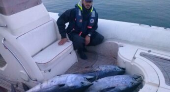 La Guardia Costiera di Gaeta sequestra 3 tonni rossi