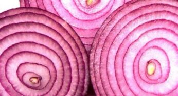 Le cipolle rosse difendono stomaco e cuore