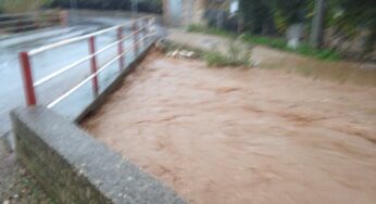 Torrente Pontone: Nuovo appello del Sindaco Mitrano alla Regione Lazio