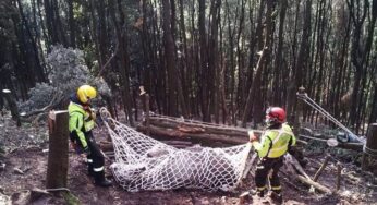 Mula precipita in un dirupo, salvata dai Vigili del Fuoco