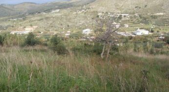 Gaeta, IMU sui terreni agricoli: il Governo estende l’imposta a tutti i proprietari di terreni agricoli