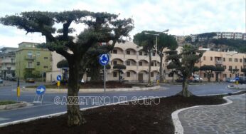 Gaeta, continuano i lavori alla rotonda di Calegna. Iniziata la piantumazione
