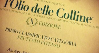 Gaeta, l’Azienda Agricola Cosmo Di Russo vince il concorso “L’Olio delle Colline, Paesaggi dell’Extravergine e Buona Pratica Agricola dei Lepini, Ausoni ed Aurunci”