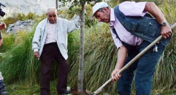 Maranola, nuovo appuntamento per la piantumazione di 10 alberi nell’ambito del Progetto “Bosco Camminante. 99 alberi lungo il percorso di San Michele Arcangelo”