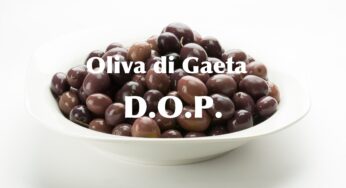 Oliva di Gaeta Dop, prosegue l’impegno per il riconoscimento del marchio