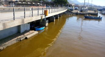 Acqua marrone nel porto di Formia dovuta ad una fioritura algale