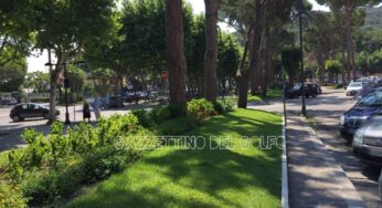 #Gaeta, Salone: “Aiuole ben mantenute, migliorare sulle palme”