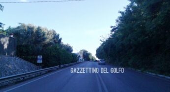 #Gaeta, prestare attenzione sulla via Flacca: segnalato un cane sulla carreggiata