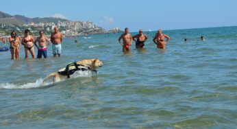 Bagnini a quattro zampe sulle spiagge di #Fondi e #Sperlonga