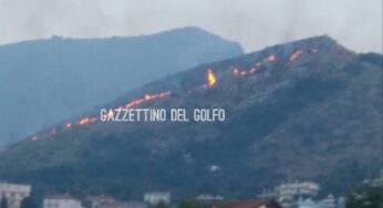 #Formia, ancora #incendi: nella notte nuovo focolaio **FOTO**