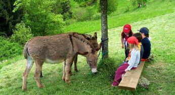 Agriturismi, fattorie didattiche, agricoltura sociale: valorizzare il territorio del #Lazio con fondi europei