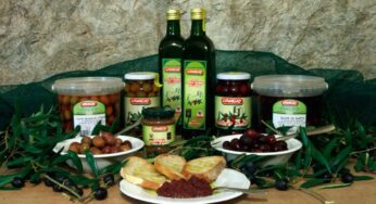 È guerra tra #Gaeta e #Itri per il riconoscimento della DOP “Oliva di Gaeta”