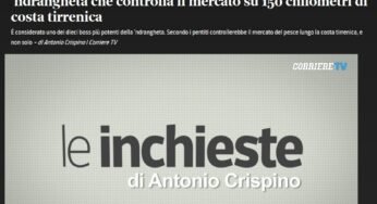 La videoinchiesta del Corriere: Il “re del pesce” Franco Muto, il boss che controlla il tirreno