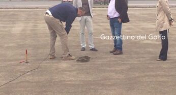 #Gaeta, #Stadio Riciniello: Esito Positivo dai tecnici #LegaCalcio. Al via la posa del manto