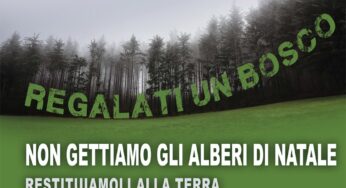 “Regalati un bosco”, il 9 e 10 gennaio la raccolta di abeti di Natale a #Formia