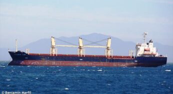 #Gaeta, in arrivo la più grande #nave mai sbarcata con carico di #Pellet