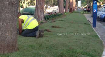#Gaeta, Verde pubblico: al via un’intensa settimana di lavori di bonifica