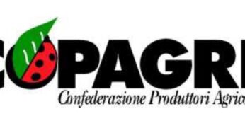 Nomina assessore agricoltura #Lazio, COPAGRI: “Congratulazioni a Carlo Hausmann, e massima collaborazione; apprezzamento per il lavoro svolto da Sonia Ricci”