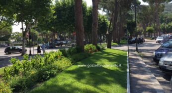 #Gaeta, interventi di bonifica del verde: Calegna, San Carlo e Via Europa interessate
