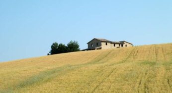 #Gaeta/Piano Sviluppo Rurale Regione #Lazio: tutte le info dai consulenti di Acli Terra presso lo Sportello Informagiovani