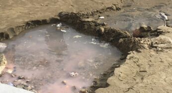 Acqua rosa sulla spiaggia di Santo Janni, indagini in corso. Manzo: “Tolleranza zero con chi sversa illegalmente”