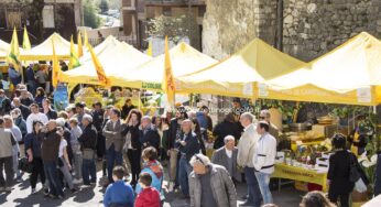 Coldiretti: La Sagra del Carciofo è un patrimonio di #Sezze dei suoi agricoltori